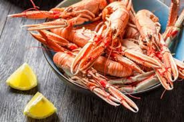fete langoustine muzillac autocar voyages ferron 640x4801